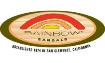 Rainbow Sandals